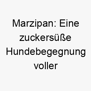 marzipan eine zuckersuesse hundebegegnung voller liebreiz 22865