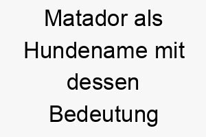 matador als hundename mit dessen bedeutung 16832