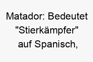 matador bedeutet stierkaempfer auf spanisch passend fuer einen mutigen furchtlosen hund 22419