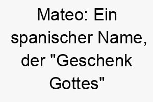 mateo ein spanischer name der geschenk gottes bedeutet passend fuer einen besonders geliebten und geschaetzten hund 22455