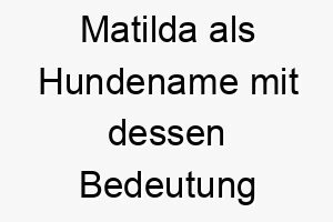 matilda als hundename mit dessen bedeutung 16834