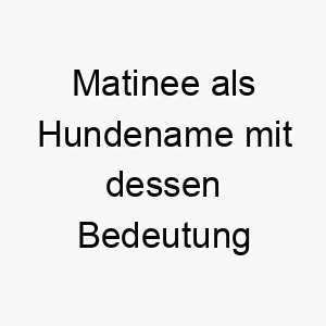 matinee als hundename mit dessen bedeutung 16845