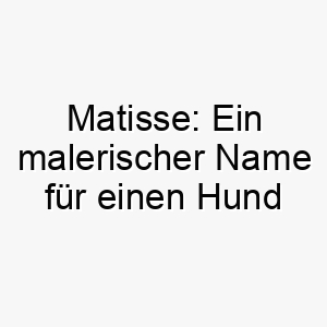 matisse ein malerischer name fuer einen hund voller farben und flair 22859