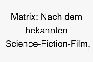 matrix nach dem bekannten science fiction film ein cooler und futuristischer name fuer einen modernen intelligenten hund 22709