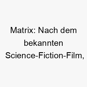 matrix nach dem bekannten science fiction film ein cooler und futuristischer name fuer einen modernen intelligenten hund 22709