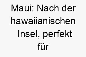 maui nach der hawaiianischen insel perfekt fuer einen hund der das leben liebt und immer bereit fuer ein abenteuer ist 22435