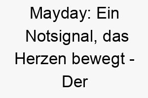 mayday ein notsignal das herzen bewegt der aufregende name fuer einen ewig aktiven hund 22814