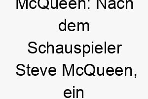 mcqueen nach dem schauspieler steve mcqueen ein cooler und charismatischer name fuer einen eleganten stilvollen hund 22669