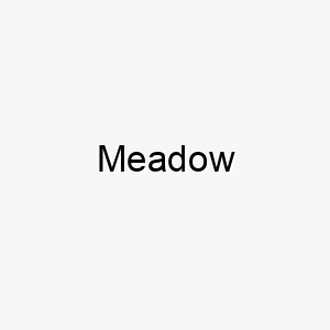 meadow 16205