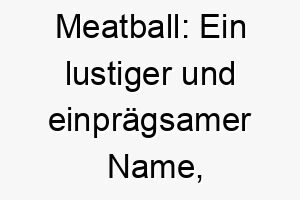 meatball ein lustiger und einpraegsamer name oft fuer kleine runde hunde verwendet 22385