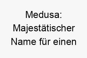 medusa majestaetischer name fuer einen unerschrockenen hund 22871