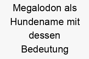 megalodon als hundename mit dessen bedeutung 16700