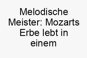 melodische meister mozarts erbe lebt in einem kuenstlerischen hund auf 22833