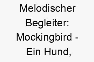 melodischer begleiter mockingbird ein hund der mit seiner musik die herzen zum tanzen bringt 22806