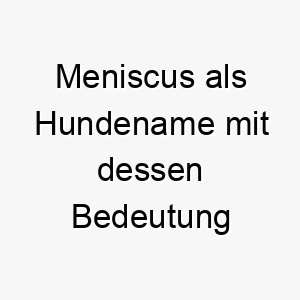 meniscus als hundename mit dessen bedeutung 16762