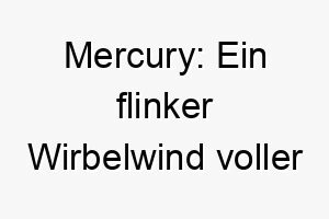 mercury ein flinker wirbelwind voller lebendigkeit fuer deinen agilem vierbeiner 22854