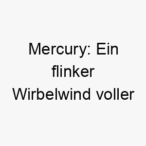 mercury ein flinker wirbelwind voller lebendigkeit fuer deinen agilem vierbeiner 22854