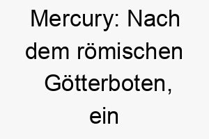 mercury nach dem roemischen goetterboten ein grossartiger name fuer einen schnellen agilen hund 22405