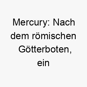 mercury nach dem roemischen goetterboten ein grossartiger name fuer einen schnellen agilen hund 22405