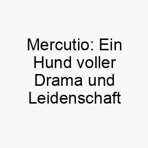 mercutio ein hund voller drama und leidenschaft 22813