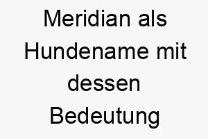 meridian als hundename mit dessen bedeutung 16612