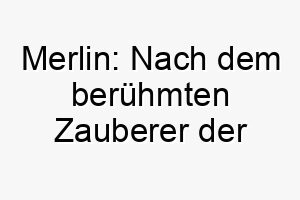 merlin nach dem beruehmten zauberer der artus saga ein mystischer und magischer name fuer einen weisen hund 22672