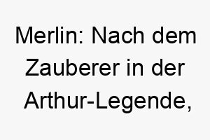 merlin nach dem zauberer in der arthur legende passt gut zu einem weisen oder mystischen hund 22386