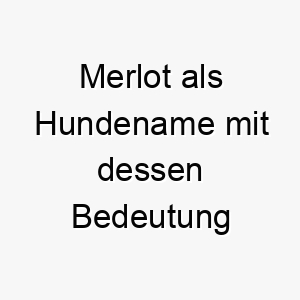 merlot als hundename mit dessen bedeutung 16599