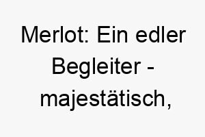 merlot ein edler begleiter majestaetisch leidenschaftlich 22829