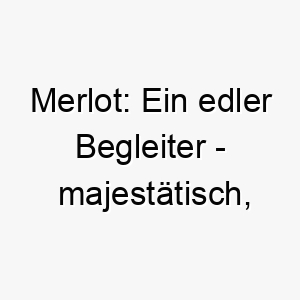 merlot ein edler begleiter majestaetisch leidenschaftlich 22829