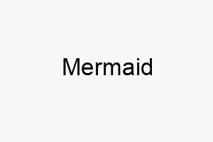 mermaid 16207