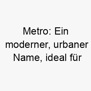 metro ein moderner urbaner name ideal fuer einen stadthund 22421