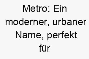 metro ein moderner urbaner name perfekt fuer einen stadt hund oder einen hund mit einer glaenzenden glatten fellfarbe 22465