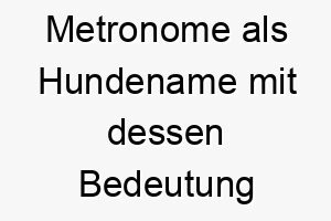 metronome als hundename mit dessen bedeutung 16846