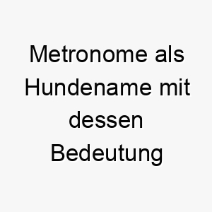 metronome als hundename mit dessen bedeutung 16846