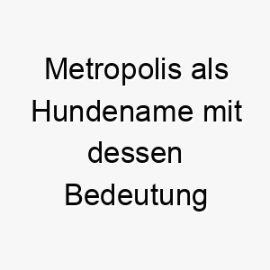 metropolis als hundename mit dessen bedeutung 2 16754