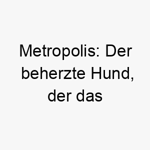 metropolis der beherzte hund der das pulsierende herz der stadt erobert 22820