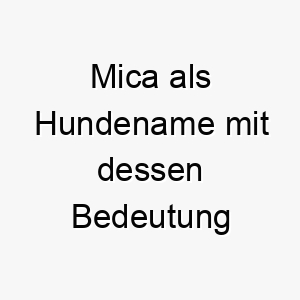 mica als hundename mit dessen bedeutung 16842