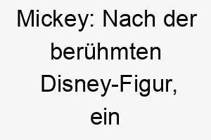 mickey nach der beruehmten disney figur ein suesser name fuer einen kleinen freundlichen hund 22399