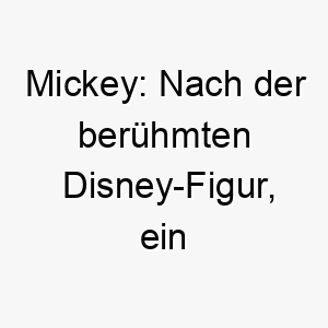 mickey nach der beruehmten disney figur ein suesser name fuer einen kleinen freundlichen hund 22399