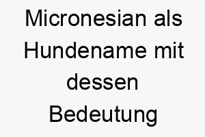 micronesian als hundename mit dessen bedeutung 16701