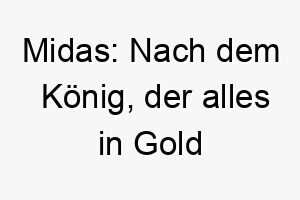 midas nach dem koenig der alles in gold verwandeln konnte ein passender name fuer einen wertvollen geliebten hund 22414