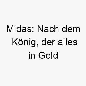 midas nach dem koenig der alles in gold verwandeln konnte ein passender name fuer einen wertvollen geliebten hund 22414