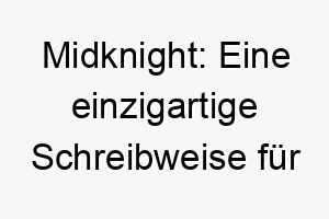 midknight eine einzigartige schreibweise fuer mitternacht passend fuer einen hund mit einem dunklen fell oder einer geheimnisvollen aura 22428