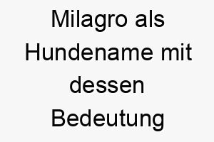 milagro als hundename mit dessen bedeutung 16691