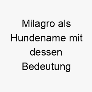 milagro als hundename mit dessen bedeutung 16691