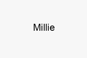 millie 16180