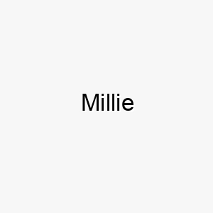 millie 16180