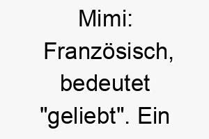 mimi franzoesisch bedeutet geliebt ein suesser und liebevoller name 6765