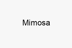 mimosa 16326